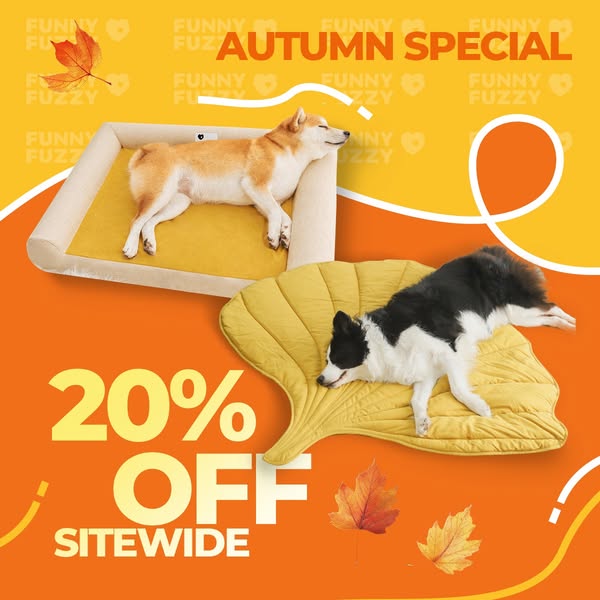 🍁 Fall Sale – 20% OFF Storewide! 🍁